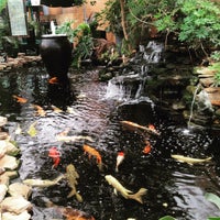 Foto diambil di Atlanta Water Gardens oleh Quinton C. pada 9/19/2015