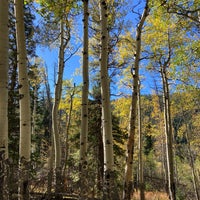 Photo taken at Rocky Mountain National Park by Michelle P. on 10/1/2024