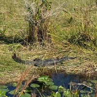 Photo taken at Everglades National Park by Gabi on 1/8/2025