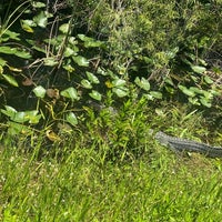 Photo taken at Everglades National Park by 🦩 ♌. on 4/17/2024