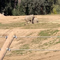 Photo taken at Elephant Overlook by Dominique O. on 1/10/2019