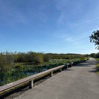 Photo prise au Anhinga Trail par Stevie E. le11/6/2023