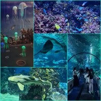 รูปภาพถ่ายที่ Aquàrium de Barcelona โดย Saša เมื่อ 12/8/2024