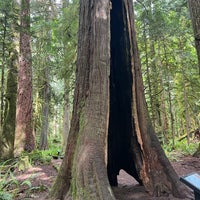 Photo taken at Olympic National Park by Noura . on 5/29/2024