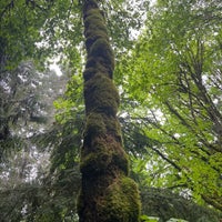 Photo taken at Olympic National Park by Noura . on 5/29/2024