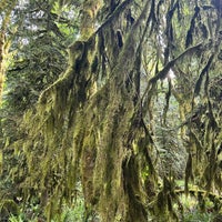 Photo taken at Olympic National Park by Noura . on 5/29/2024