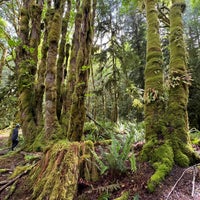 Photo taken at Olympic National Park by Noura . on 5/29/2024