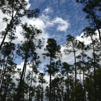 Photo taken at Pinelands Trail by Albert T. on 4/7/2013