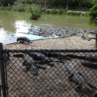 Photo taken at Everglades Alligator Farm by Leandro B. on 7/28/2013