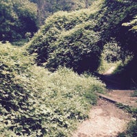 Photo taken at Dumbarton Oaks Park by Jennifer A. on 7/12/2015