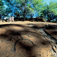 Photo taken at Puako Petroglyph Archeological Park by Casey A. on 11/1/2018