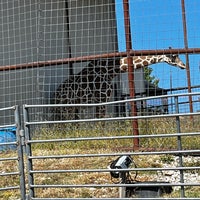 Photo taken at Branson&amp;#39;s Promised Land Zoo by Doree T. on 9/27/2022