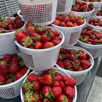 Photo taken at Dupont Circle FRESHFARM Market by Isa L. on 5/28/2023