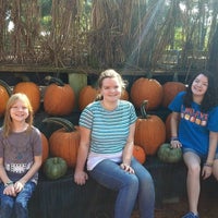 Photo prise au Uncle Bobs Pumpkin Patch par Melissa E. le9/24/2016