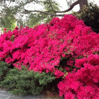 Photo taken at Meridian Hill Park by Damien M. on 5/5/2013