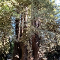 Photo taken at Pfeiffer Big Sur State Park by Cara Cara O. on 9/30/2021