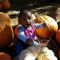 Photo prise au Uncle Bobs Pumpkin Patch par Cardell O. le10/22/2016