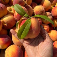 Photo taken at Dupont Circle FRESHFARM Market by Stacey on 8/13/2023