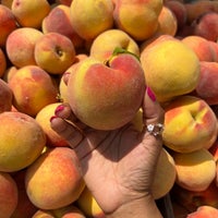 Photo taken at Dupont Circle FRESHFARM Market by Stacey on 7/23/2023