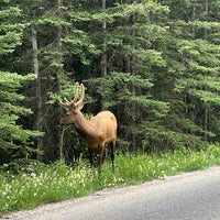 Photo taken at Rocky Mountain Flatbread Co. by JJ O. on 7/17/2024