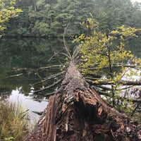 Foto tirada no(a) Unicoi State Park por S em 10/7/2017