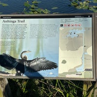 Photo prise au Anhinga Trail par Vito C. le12/22/2024