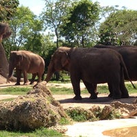 5/5/2013にJosé O.がZoo Miamiで撮った写真