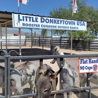 Photo taken at Rooster Cogburn Ostrich Ranch by Samantha B. on 9/13/2024