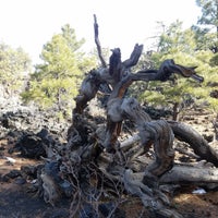 Foto diambil di Lava Flow Trail oleh jocose pada 3/6/2018