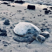 Photo taken at Waikoloa beach by Alvin F. on 8/27/2021