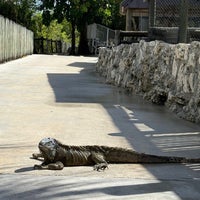 Photo taken at Everglades Alligator Farm by Conrad W. on 10/22/2024