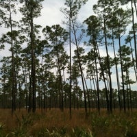 Photo taken at Pinelands Trail by Sarah V. on 3/9/2013