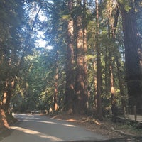 Photo taken at Pfeiffer Big Sur State Park by Jenny T. on 7/9/2024