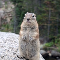 Photo taken at Rocky Mountain National Park by Holger L. on 9/5/2024