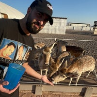 Photo taken at Rooster Cogburn Ostrich Ranch by Niku on 10/13/2024