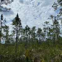 Photo taken at Pinelands Trail by Honghui Y. on 4/23/2021