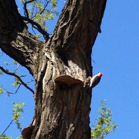 Photo taken at Greenstreets Triangle by Valeriya K. on 5/7/2013