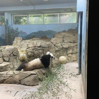 11/4/2023 tarihinde Laura W.ziyaretçi tarafından Giant Panda House'de çekilen fotoğraf