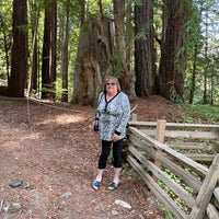 Photo taken at Pfeiffer Big Sur State Park by The Commodore on 3/13/2022