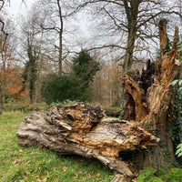 Photo taken at Anglesey Abbey by Derek L. on 11/20/2020