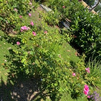 6/25/2022にJackie N.がKathrine Dulin Folger Rose Gardenで撮った写真