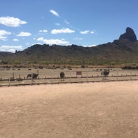 Photo taken at Rooster Cogburn Ostrich Ranch by Ekaterina Z. on 5/11/2019