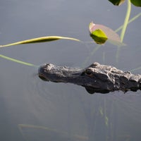 Photo taken at Everglades National Park by Ward G. on 12/18/2017