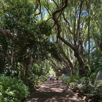 Photo taken at Kirstenbosch Botanical Gardens by F9 on 1/6/2025