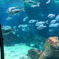 รูปภาพถ่ายที่ Aquàrium de Barcelona โดย Eng MOH เมื่อ 12/28/2024