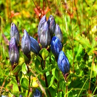 Photo taken at Olympic National Park by Lucyan on 9/5/2023