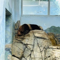 4/17/2023 tarihinde Alan J.ziyaretçi tarafından Giant Panda House'de çekilen fotoğraf