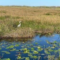 Photo prise au Anhinga Trail par Eric T. le1/15/2022