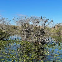 Photo prise au Anhinga Trail par Eric T. le1/15/2022