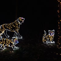 Photo taken at Smithsonian’s National Zoo by Silvia L. on 12/8/2014